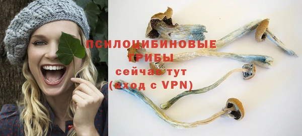 крисы Абинск