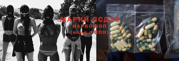 прущий лед Алзамай