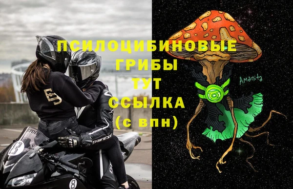 прущий лед Алзамай